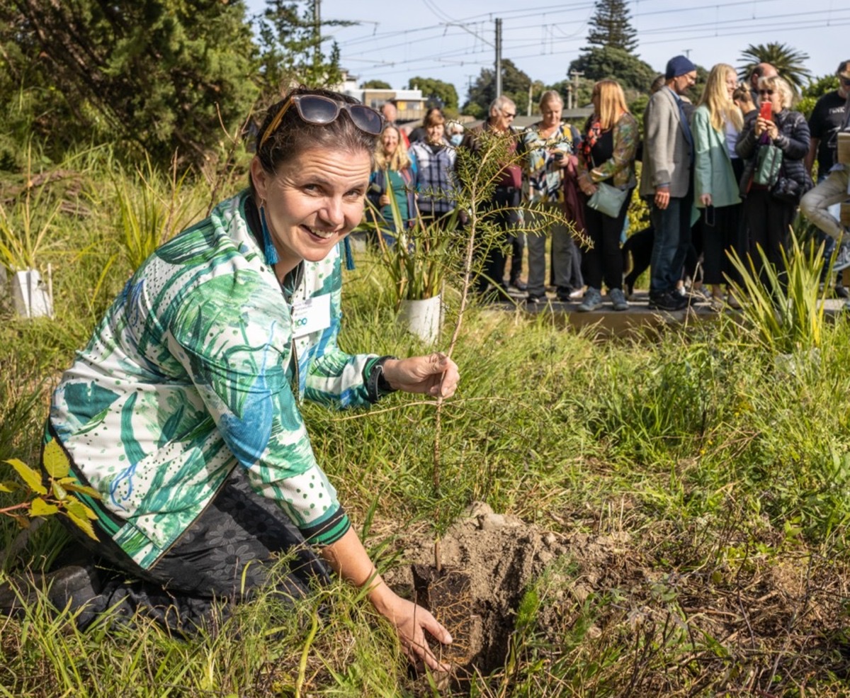 Nicola Toki planting a tōtara