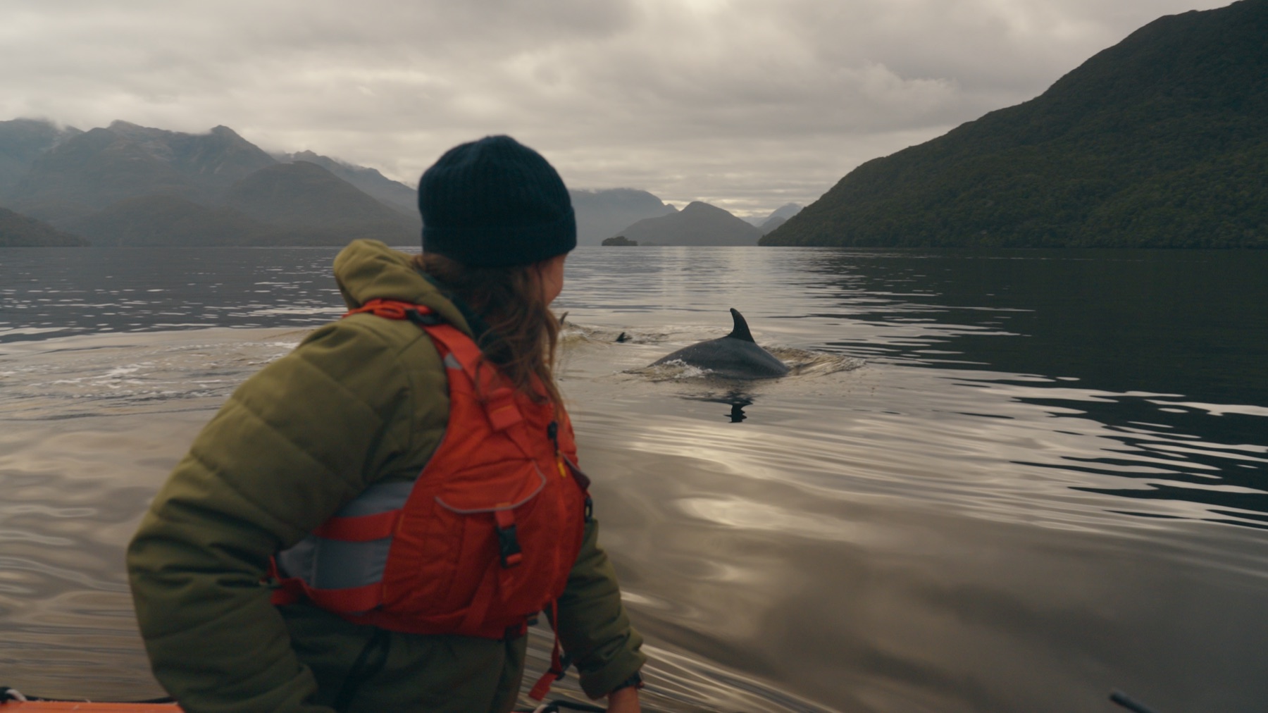 Nicola Toki watching a dolphin surface from the water